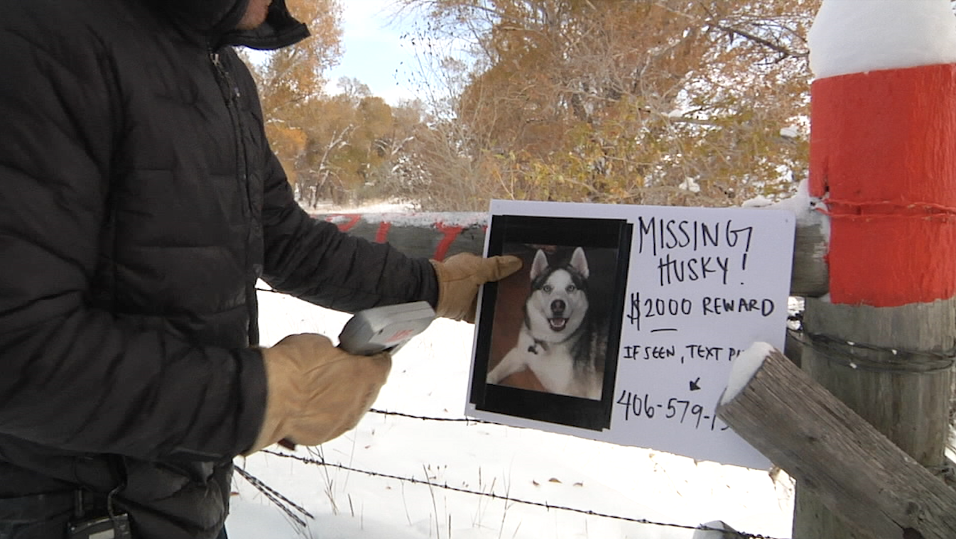 Missing Peppercorn signs